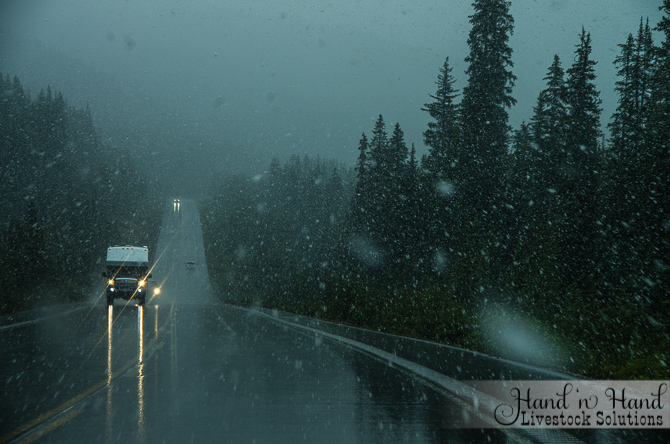 Snow in the Canadian Rockies today!